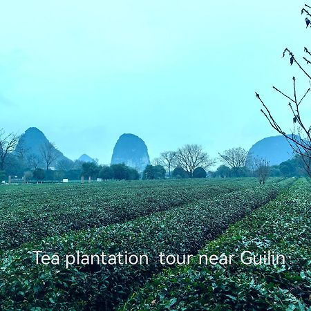Guilin Village Creek Inn-Free Private Car Pick Up Station Stay 3 Nights Bagian luar foto