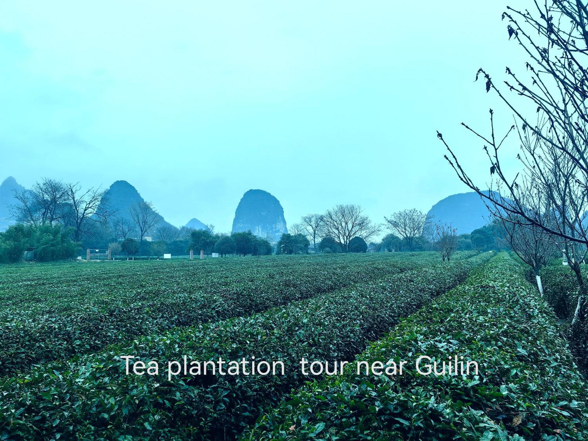 Guilin Village Creek Inn-Free Private Car Pick Up Station Stay 3 Nights Bagian luar foto
