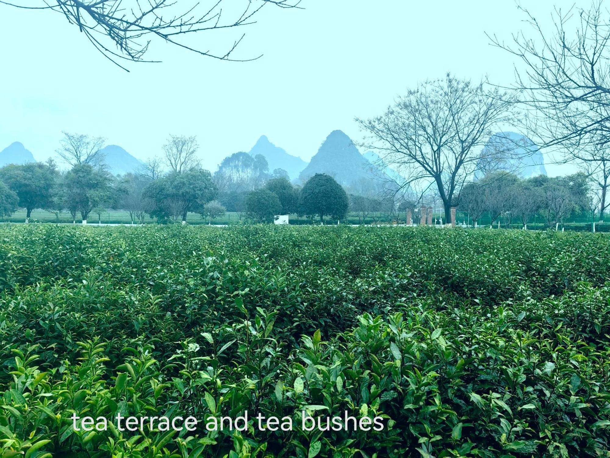 Guilin Village Creek Inn-Free Private Car Pick Up Station Stay 3 Nights Bagian luar foto